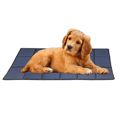 Hiputee Rectangular Shape Waterproof Polyester Fabric Flat Pad Bed for Dogs and Cats (Blue)