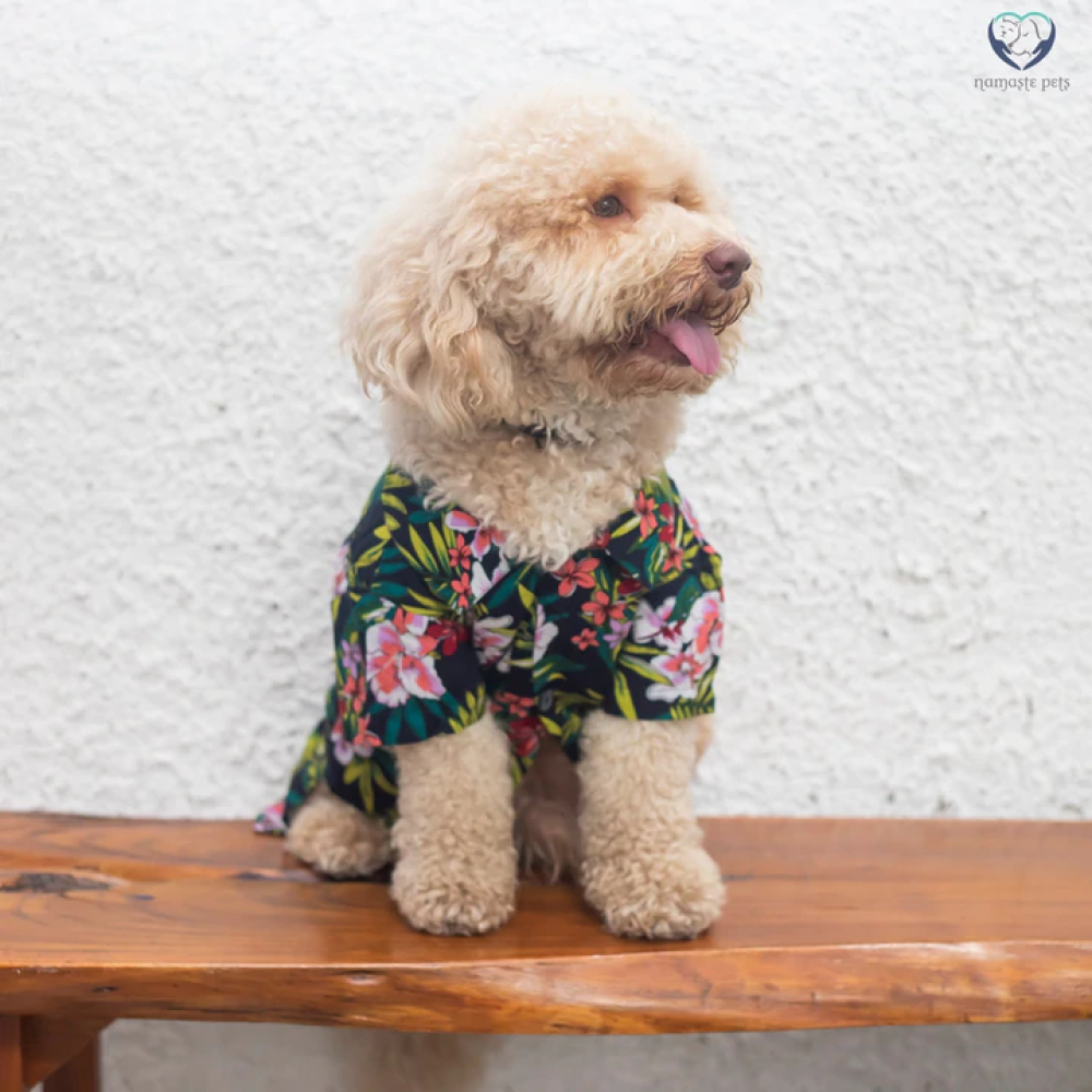 Namaste Pets Bora Bora Floral Printed Shirt for Dogs