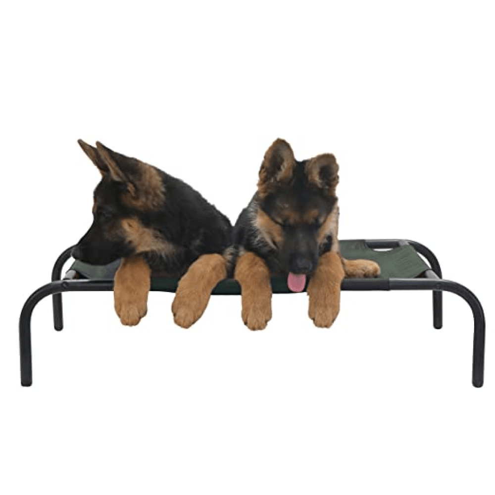 Hiputee Green Canvas Elevated Bed for Pets