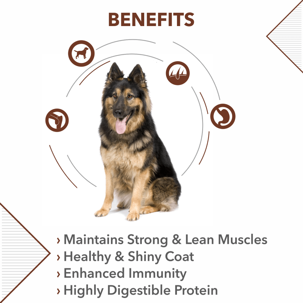 Drools dog food for german shepherd cheap