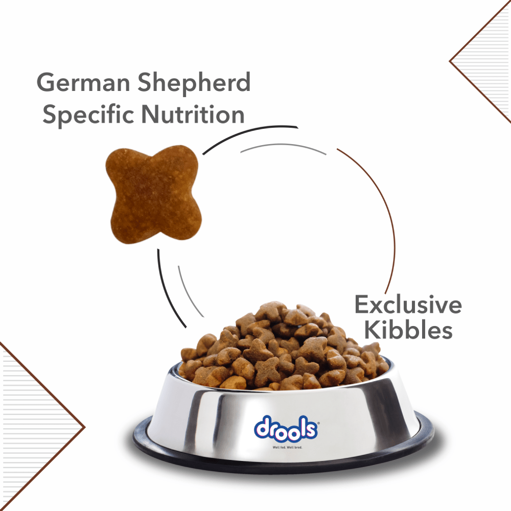 Buy Drools German Shepherd Adult Premium Dog Dry Food Online