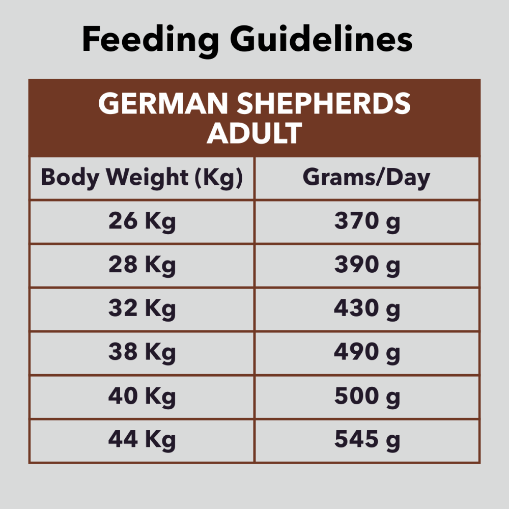 German shepherd food amount hot sale