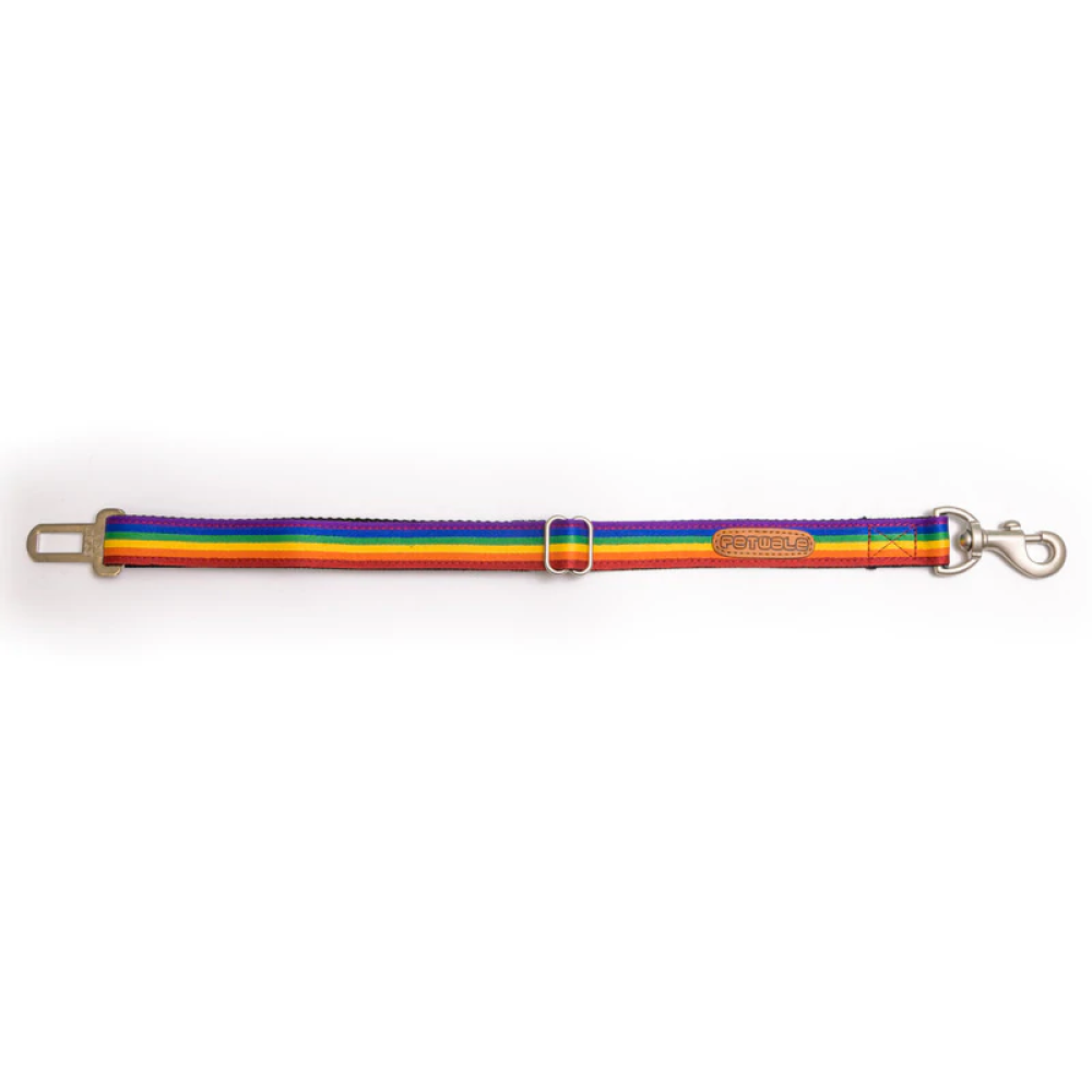 PetWale Car Seat Belt for Dogs and Cats (Rainbow)
