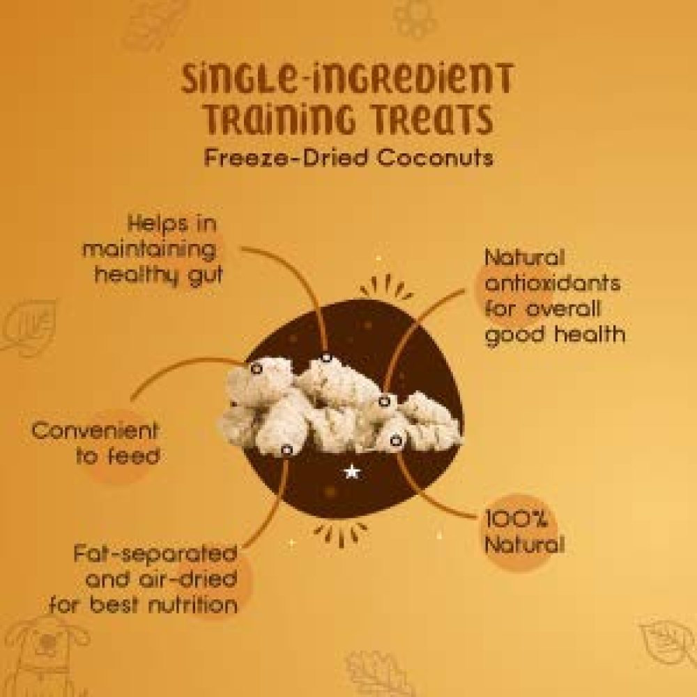 Dogsee Crunch Freeze Dried Coconut Dog Treats (Limited Shelf Life) Dog Treats + Others Dogsee Chew