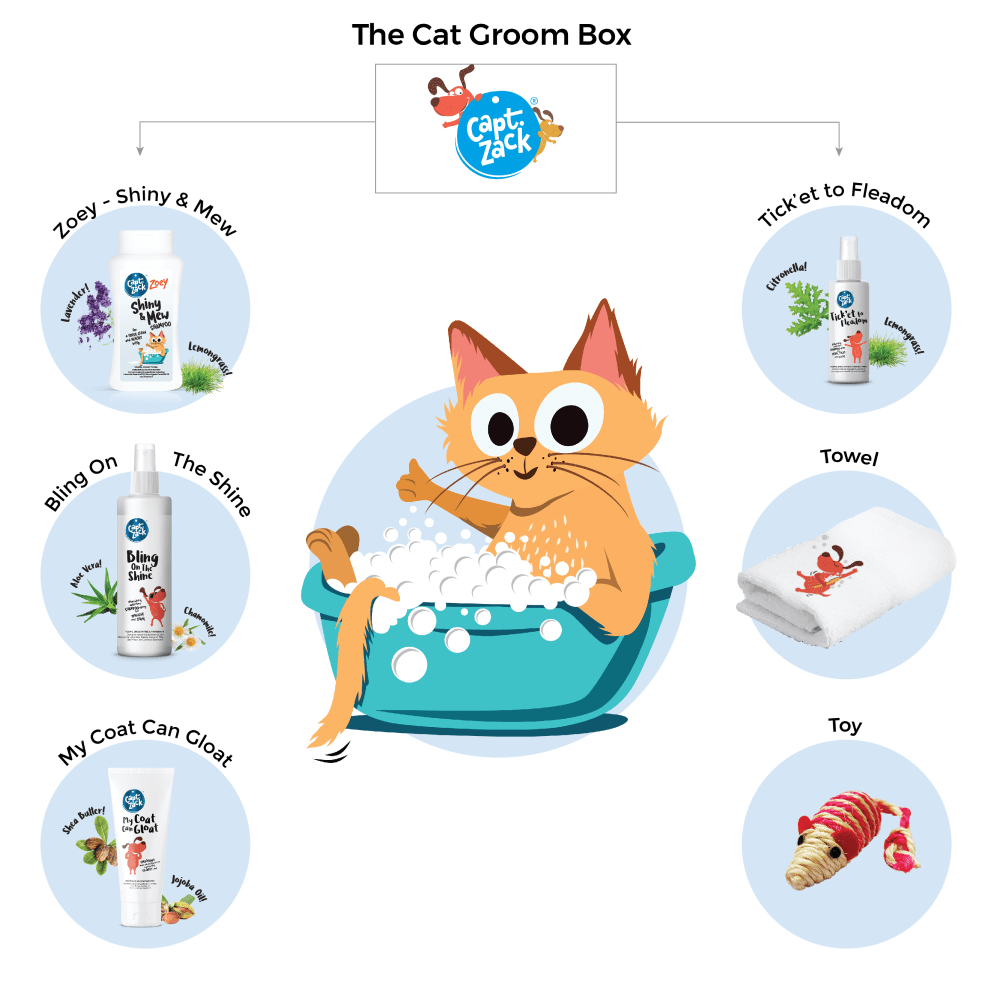 Captain Zack The Cat Groom Box for Cats