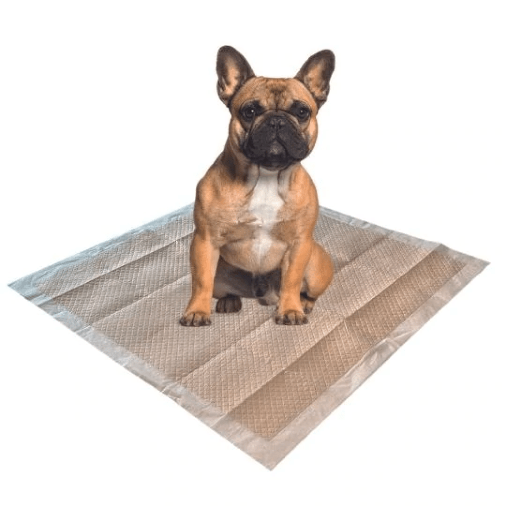M Pets Eco Training Pads for Puppies (50 pcs)