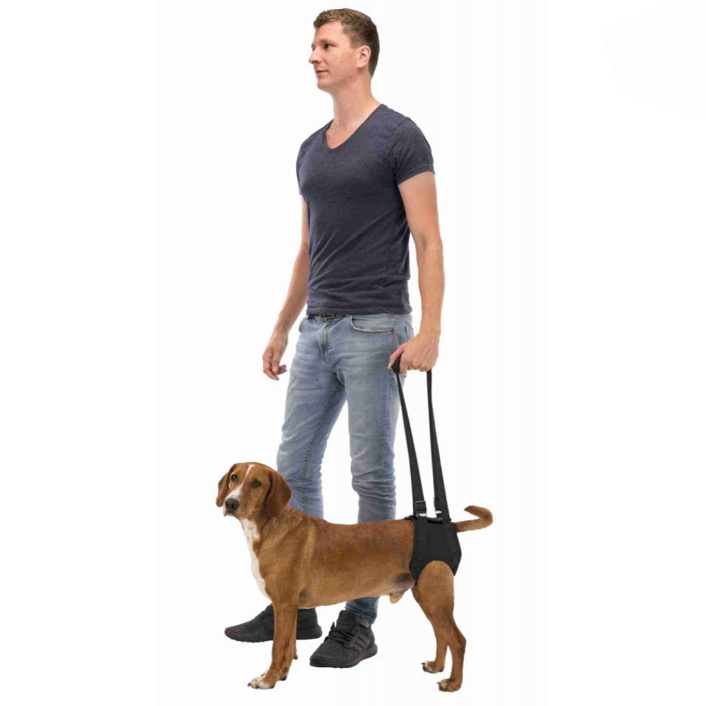 Trixie Walking Aid for Dogs