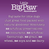 Little Big Paw Atlantic Salmon & Vegetables Terrine Dog Wet Food Dogs-Wet Food Little Big Paw