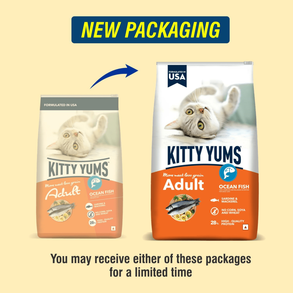 Kitty Yums Ocean Fish Adult (1+ years) Cat Dry Food (Limited Shelf Life) (Buy 1 Get 1) Cats- Dry food Kitty Yums