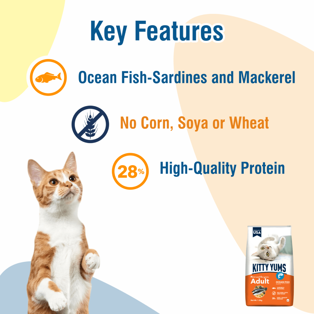 Kitty Yums Ocean Fish Adult (1+ years) Cat Dry Food (Limited Shelf Life) (Buy 1 Get 1) Cats- Dry food Kitty Yums
