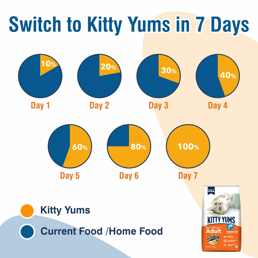 Kitty Yums Ocean Fish Adult (1+ years) Cat Dry Food (Limited Shelf Life) (Buy 1 Get 1) Cats- Dry food Kitty Yums