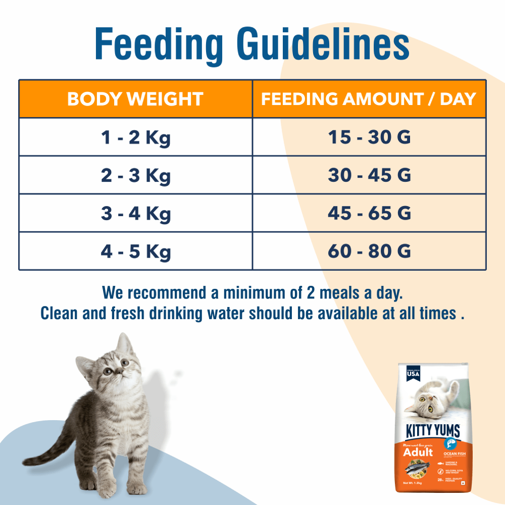 Kitty Yums Ocean Fish Adult (1+ years) Cat Dry Food (Limited Shelf Life) (Buy 1 Get 1) Cats- Dry food Kitty Yums