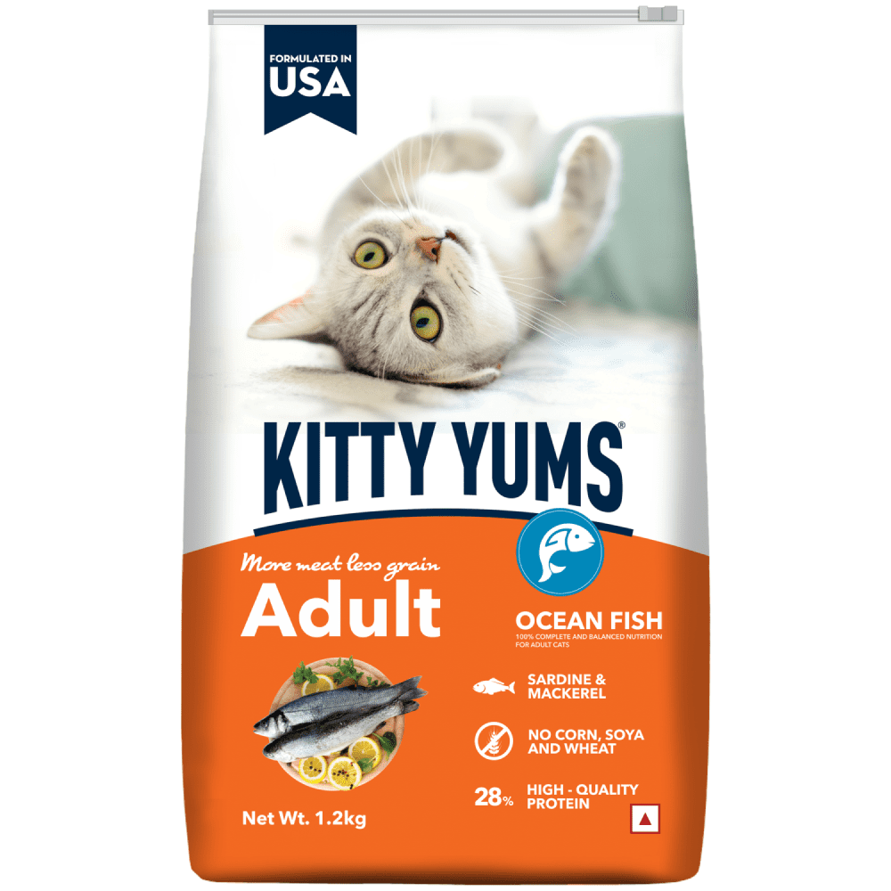 Kitty Yums Ocean Fish Adult (1+ years) Cat Dry Food (Limited Shelf Life) (Buy 1 Get 1) Cats- Dry food Kitty Yums