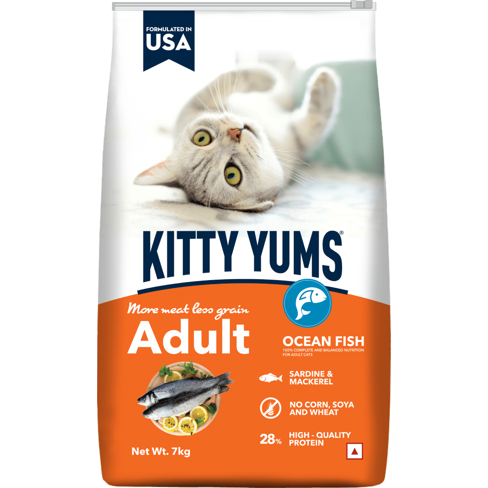 Kitty Yums Ocean Fish Adult (1+ years) Cat Dry Food Cats- Dry food Kitty Yums