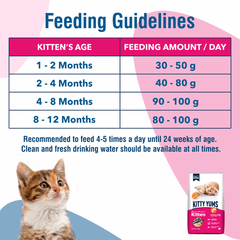 Kitty Yums Ocean Fish Kitten Dry Food, Me O Creamy Chicken Liver Cats Treats Combo Exclusive Combo Exclusive Combo