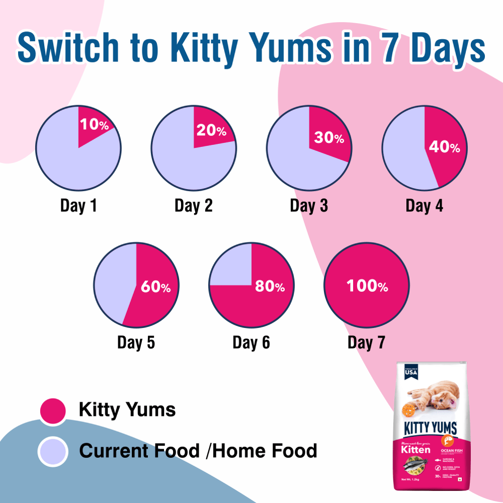 Kitty Yums Ocean Fish Kitten Dry Food, Me O Creamy Chicken Liver Cats Treats Combo Exclusive Combo Exclusive Combo