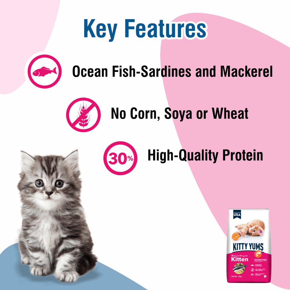 Kitty Yums Ocean Fish Kitten Dry Food, Me O Creamy Chicken Liver Cats Treats Combo Exclusive Combo Exclusive Combo