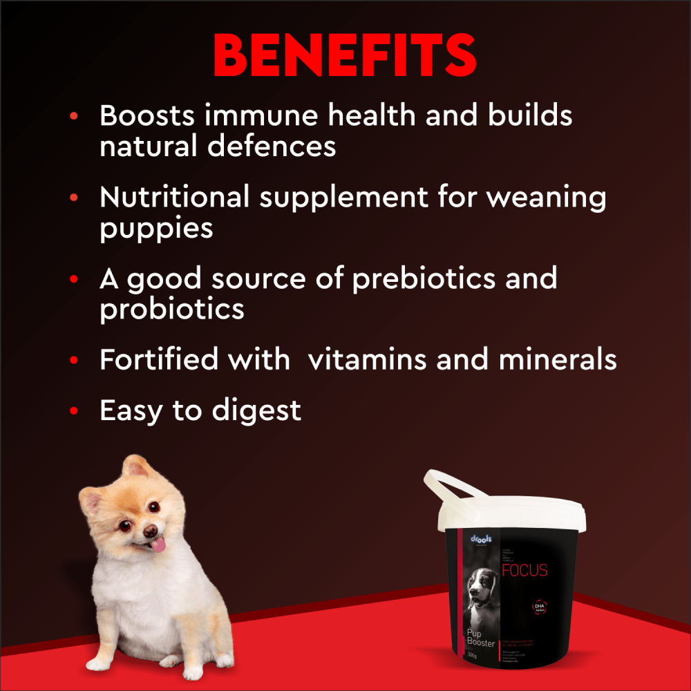 Drools Focus Pup Booster Puppy Weaning Diet for All Breeds (300g) Dogs- Dry Food Drools Focus