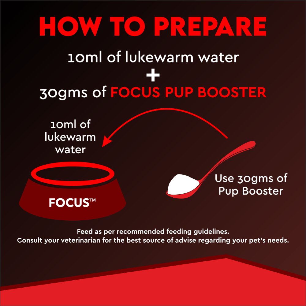 Drools Focus Pup Booster Puppy Weaning Diet for All Breeds (300g) Dogs- Dry Food Drools Focus