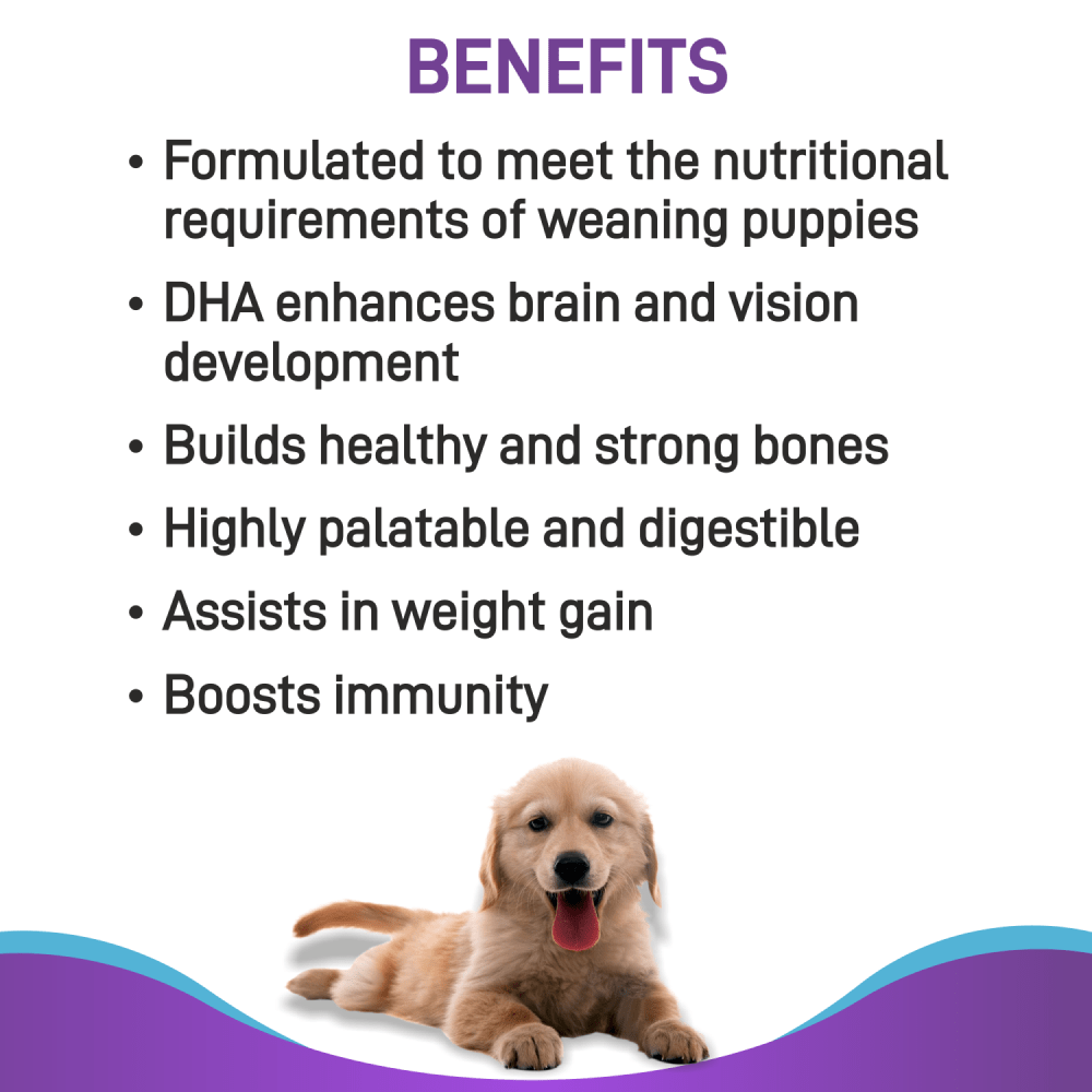 Canine Creek Pup Booster Puppy Weaning Diet for All Breeds Dogs-Health & Wellness Canine Creek