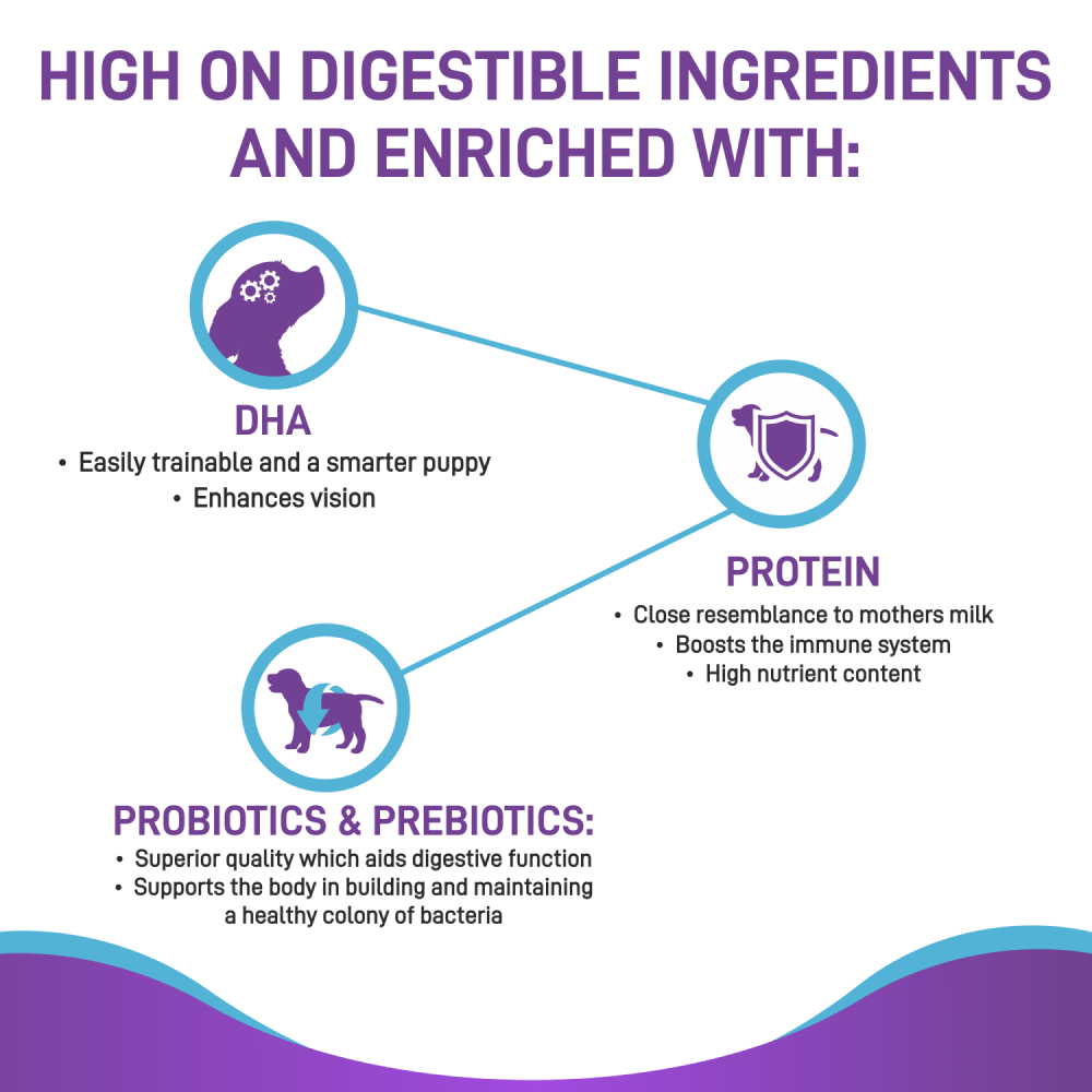 Canine Creek Pup Booster Puppy Weaning Diet for All Breeds Dogs-Health & Wellness Canine Creek