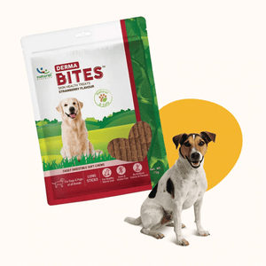 Natural Remedies Derma Bites Dog Treats