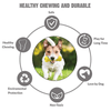 Goofy Tails Dumbbell Treat Dispensing Interactive Toys and Strawberry shaped Natural Rubber Chew Toy for Dogs Combo Dogs-Toys Goofy Tails