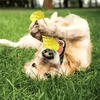 Goofy Tails Dumbbell Treat Dispensing Interactive Toys and Strawberry shaped Natural Rubber Chew Toy for Dogs Combo Dogs-Toys Goofy Tails