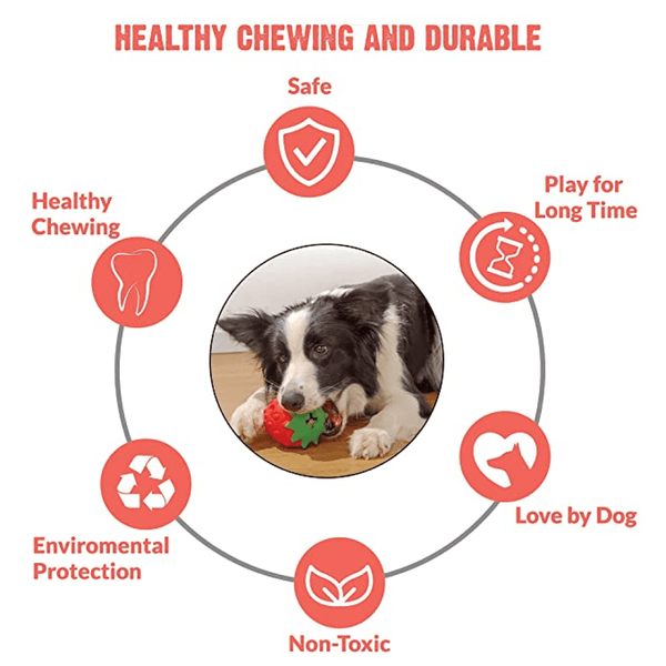 Goofy Tails Dumbbell Treat Dispensing Interactive Toys and Strawberry shaped Natural Rubber Chew Toy for Dogs Combo