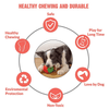 Goofy Tails Dumbbell Treat Dispensing Interactive Toys and Strawberry shaped Natural Rubber Chew Toy for Dogs Combo Dogs-Toys Goofy Tails