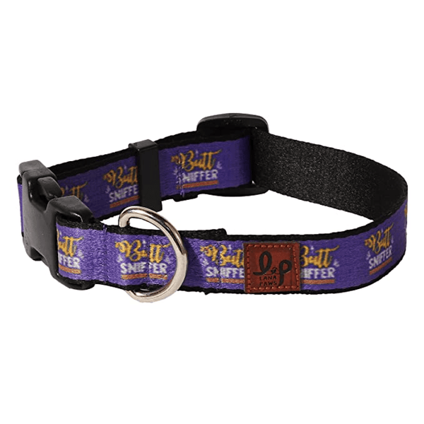 Lana Paws Butt Sniffer Collar for Dogs (Purple)