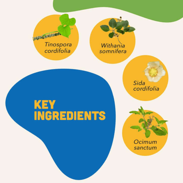 Natural Remedies Junior Bites for Dogs