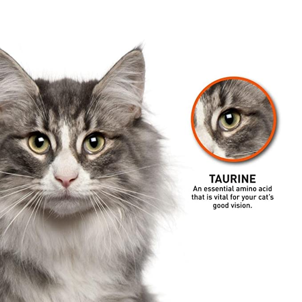 ProDiet Gourmet Seafood Cat Dry Food