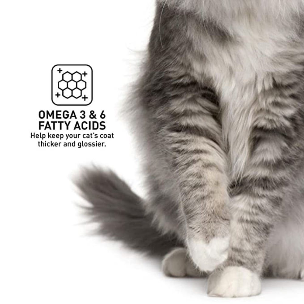 ProDiet Gourmet Seafood Cat Dry Food