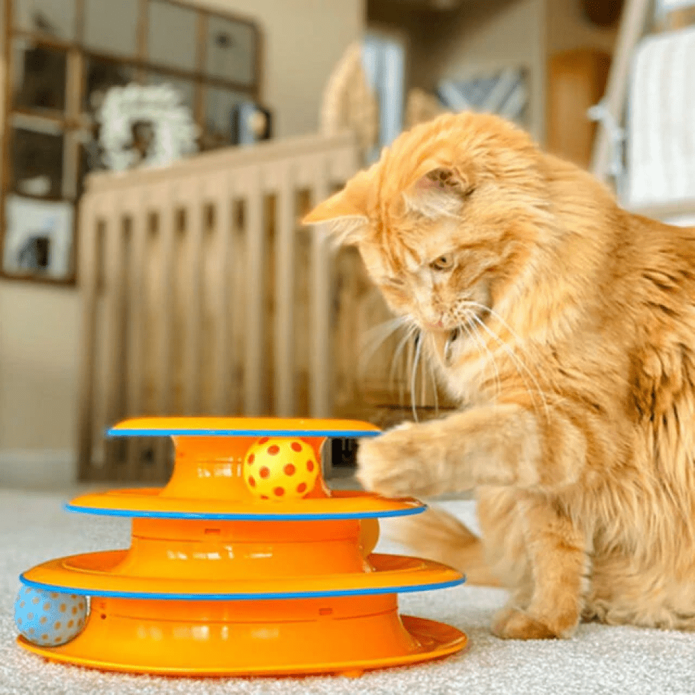 Toys for hot sale very active cats