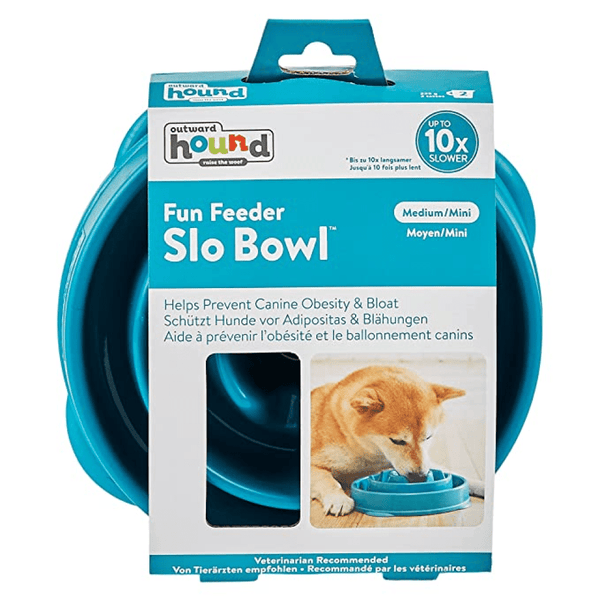 Buy Outward Hound Fun/Slow Feeder for Dogs (Green Blue) Online