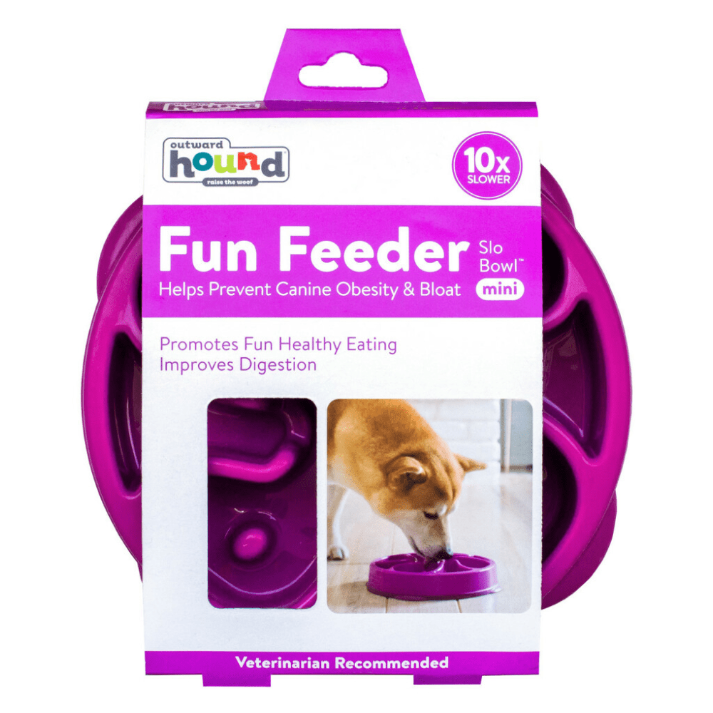 Outward Hound Fun/Slow Feeder for Dogs (Purple)