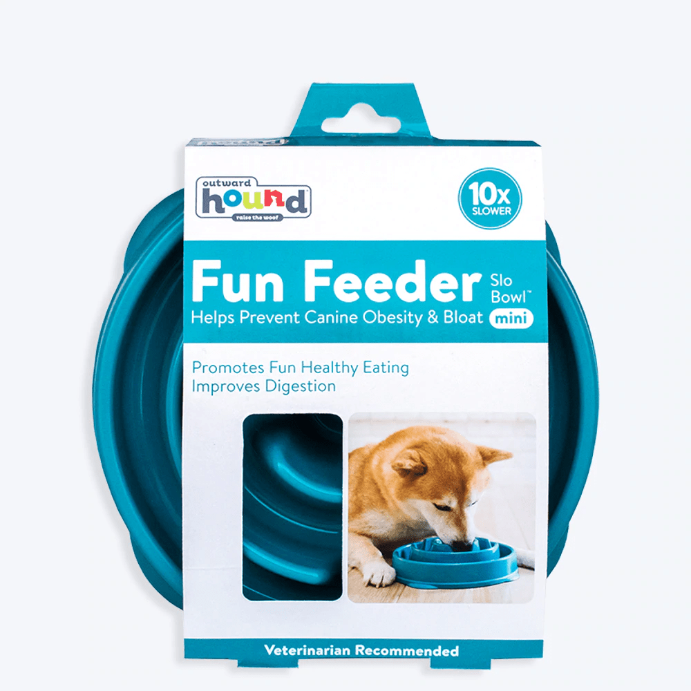 Outward Hound Fun/Slow Feeder for Dogs (Teal)