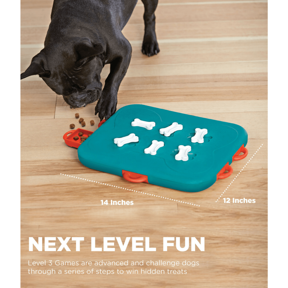 Outward Hound Nina Ottosson Dog Casino Game for Dogs (Level 3 Advanced)