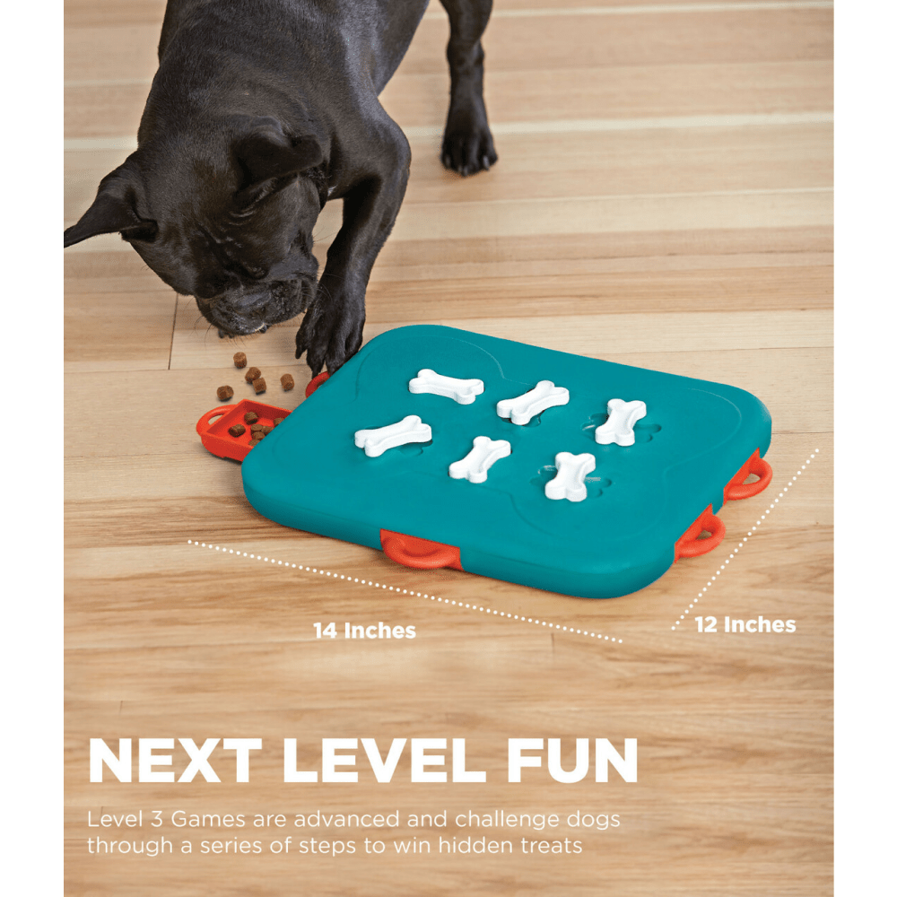 Outward hound level 3 hotsell