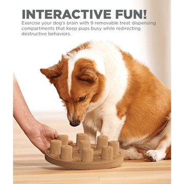 Outward Hound Nina Ottosson Smart Composite Game for Dogs (Orange, Level 1 Beginner)