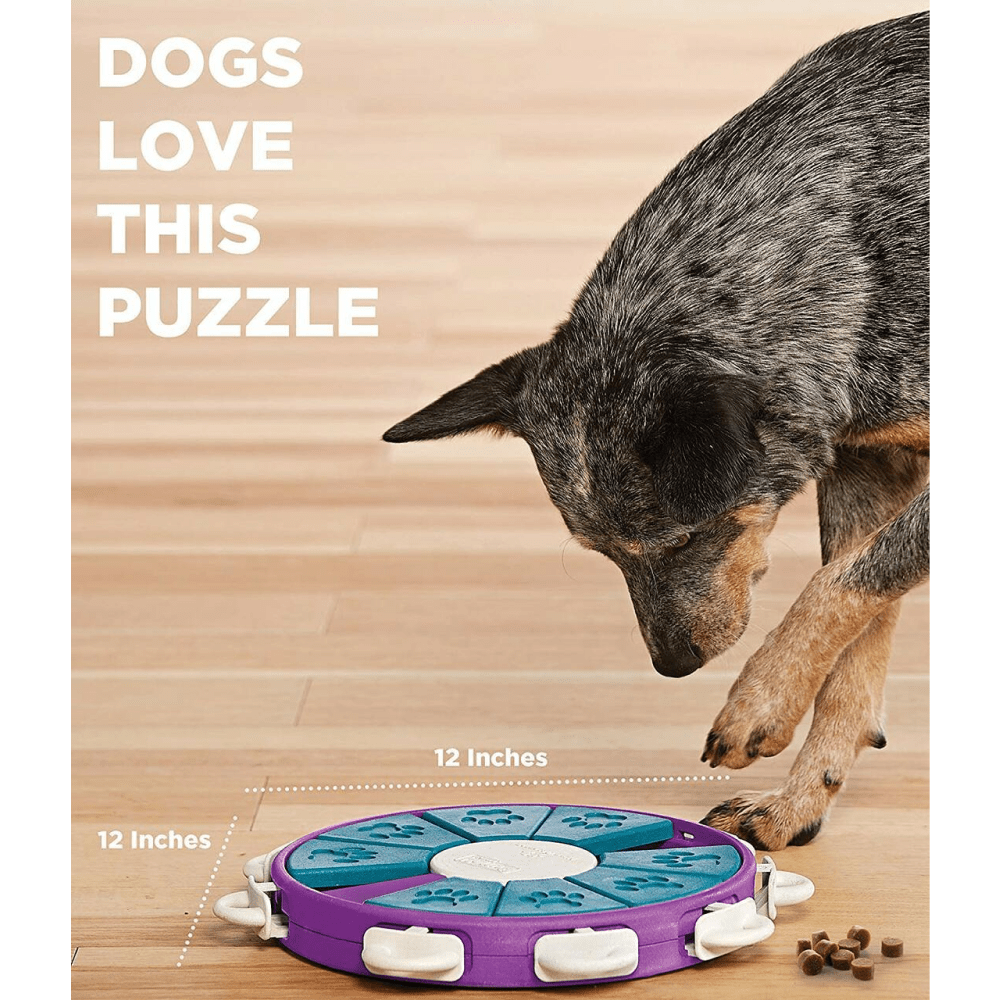 Outward Hound Nina Ottosson Dog Twister Puzzle (Level-3 Advanced)