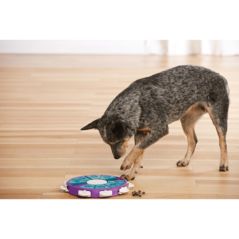 Outward Hound Nina Ottosson Dog Twister Puzzle (Level-3 Advanced)