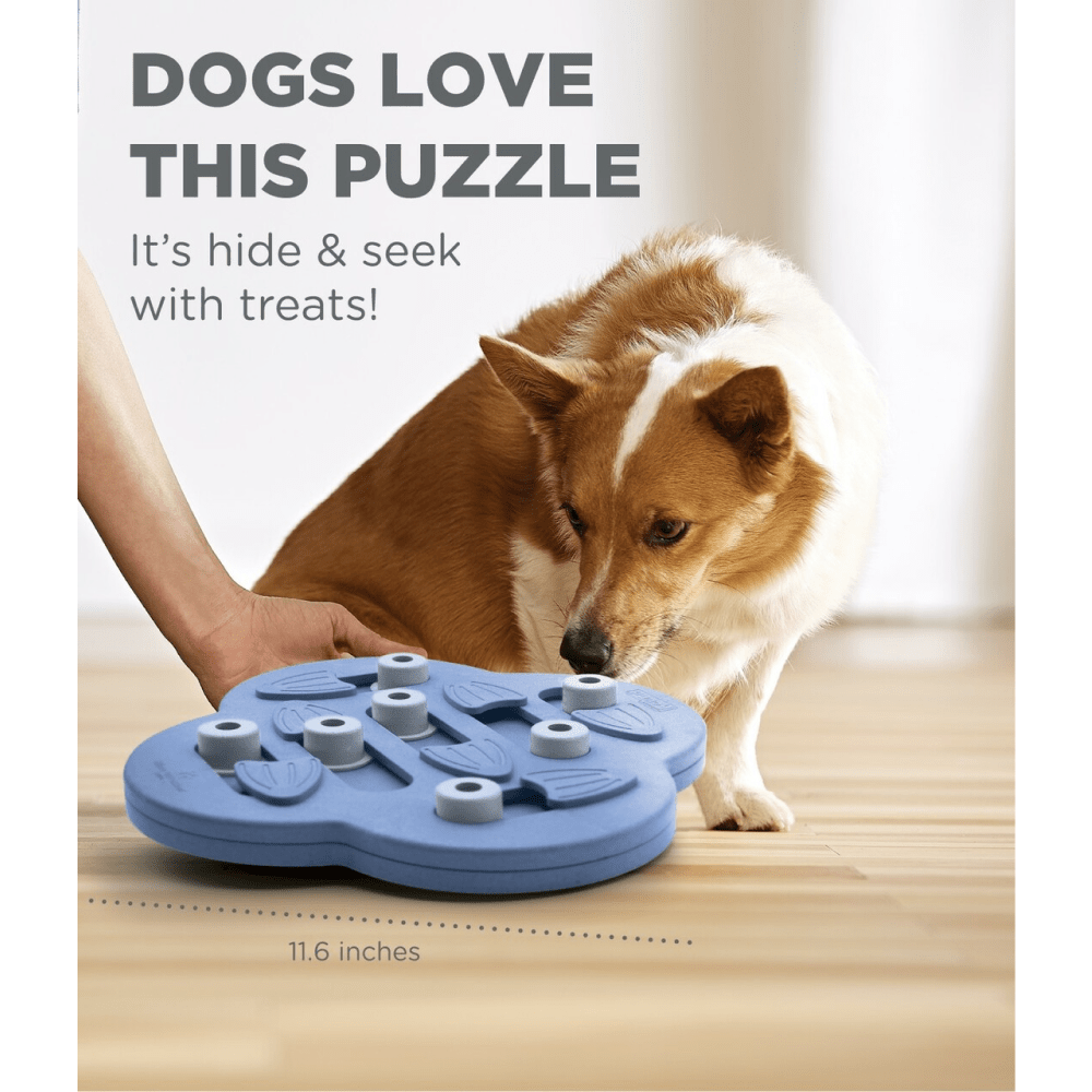 Outward Hound Nina Ottosson Hide N Slide Dog Puzzle for Dogs (Level 2 Intermediate) (Brown)