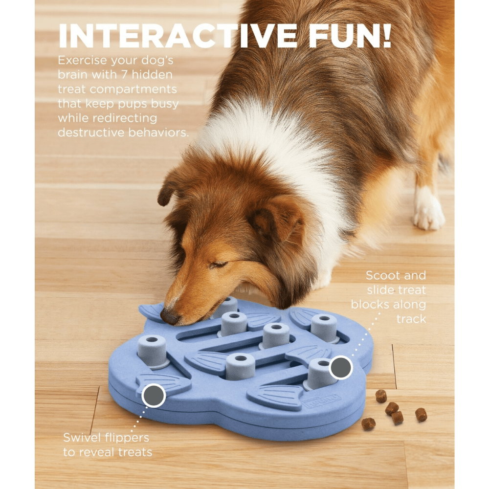 Outward Hound Nina Ottosson Hide N Slide Dog Puzzle for Dogs (Level 2 Intermediate) (Brown) | For Soft Chewers