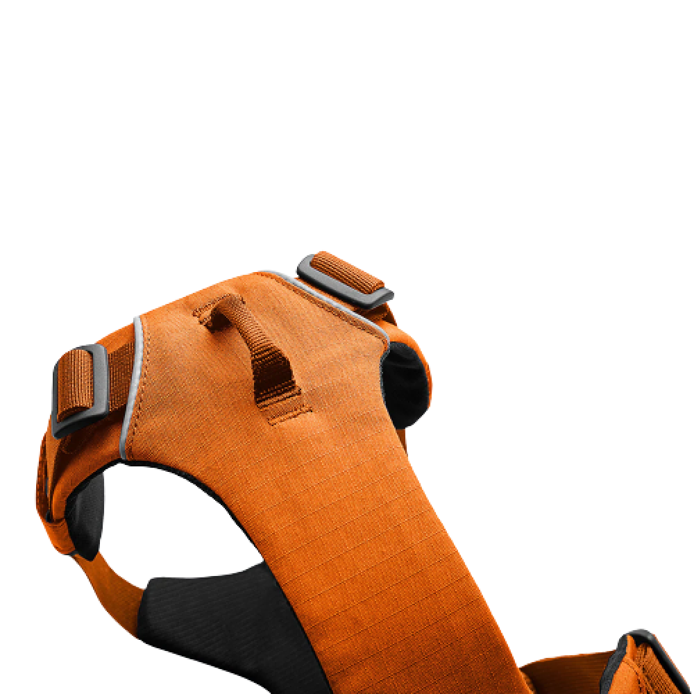 Ruffwear Front Range Harness for Dogs (Campfire Orange)