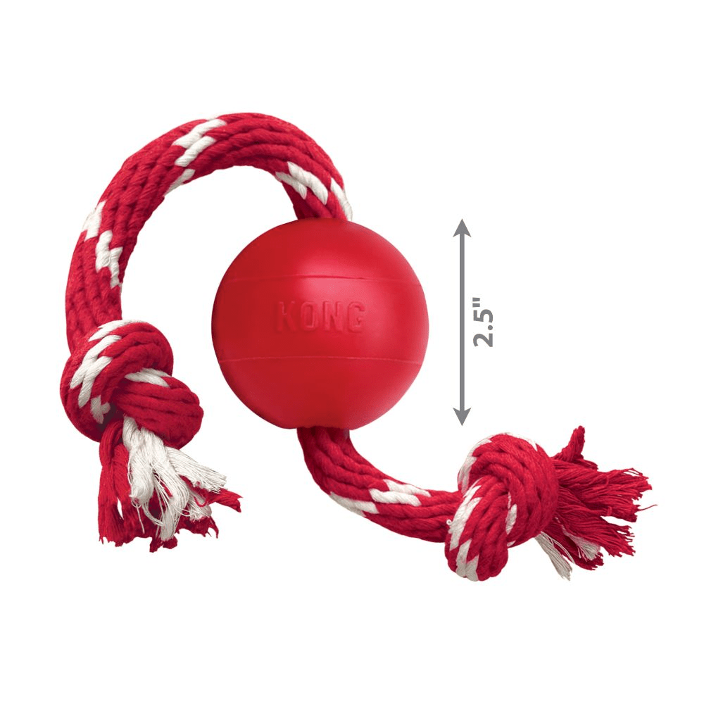 Kong rope deals toys