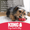 Kong Binkie Puppy Chew Toy (Assorted)