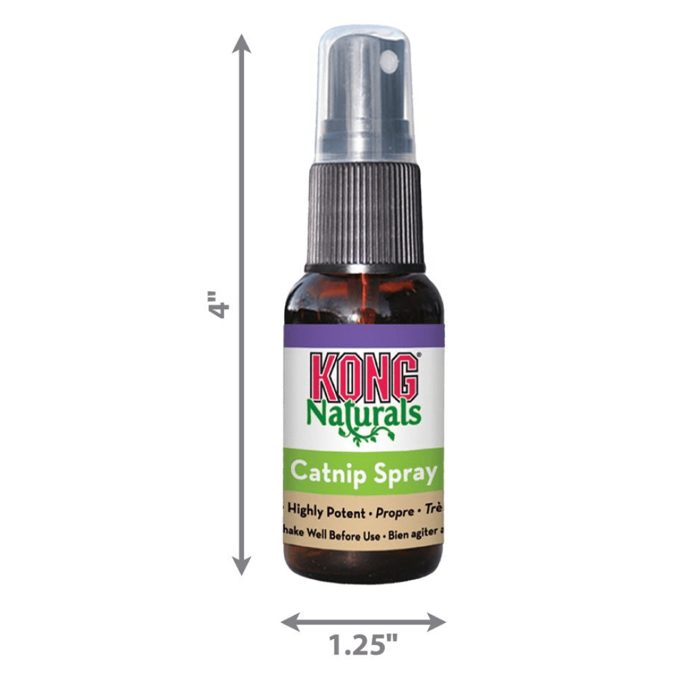 Kong Catnip Spray for Cats Cats-Toys Kong