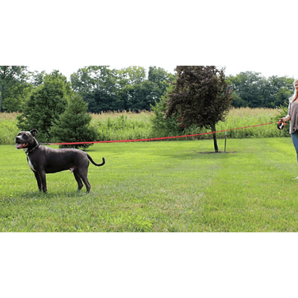 Kong Explore Retractable Leash for Dogs and Cats (Red)